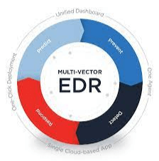 How Does EDR Detect Malware